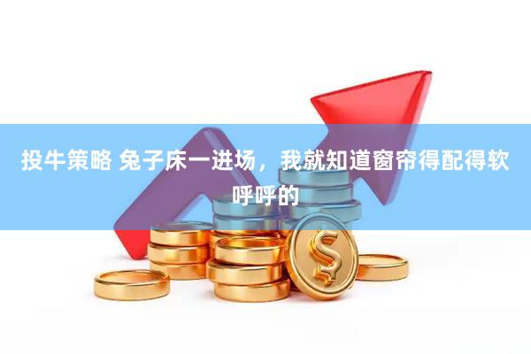 投牛策略 兔子床一进场，我就知道窗帘得配得软呼呼的